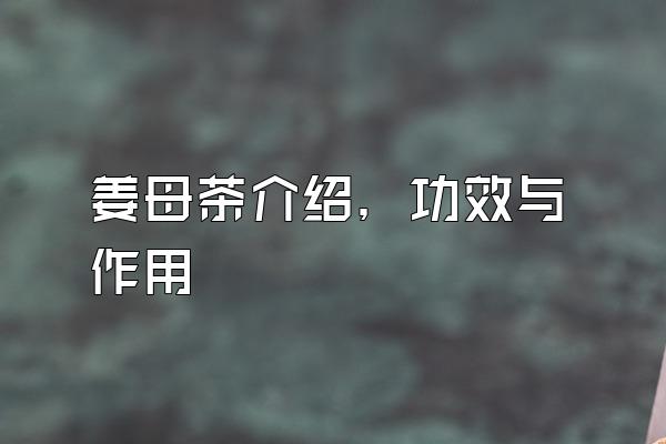 姜母茶介绍，功效与作用