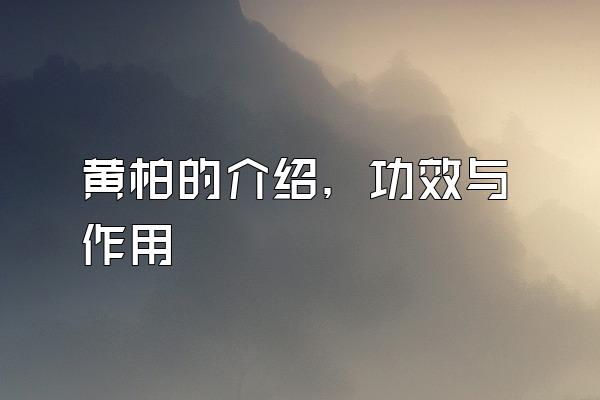 黄柏的介绍，功效与作用