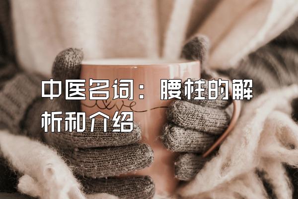中医名词：腰柱的解析和介绍