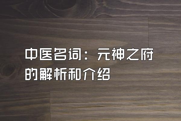 中医名词：元神之府的解析和介绍